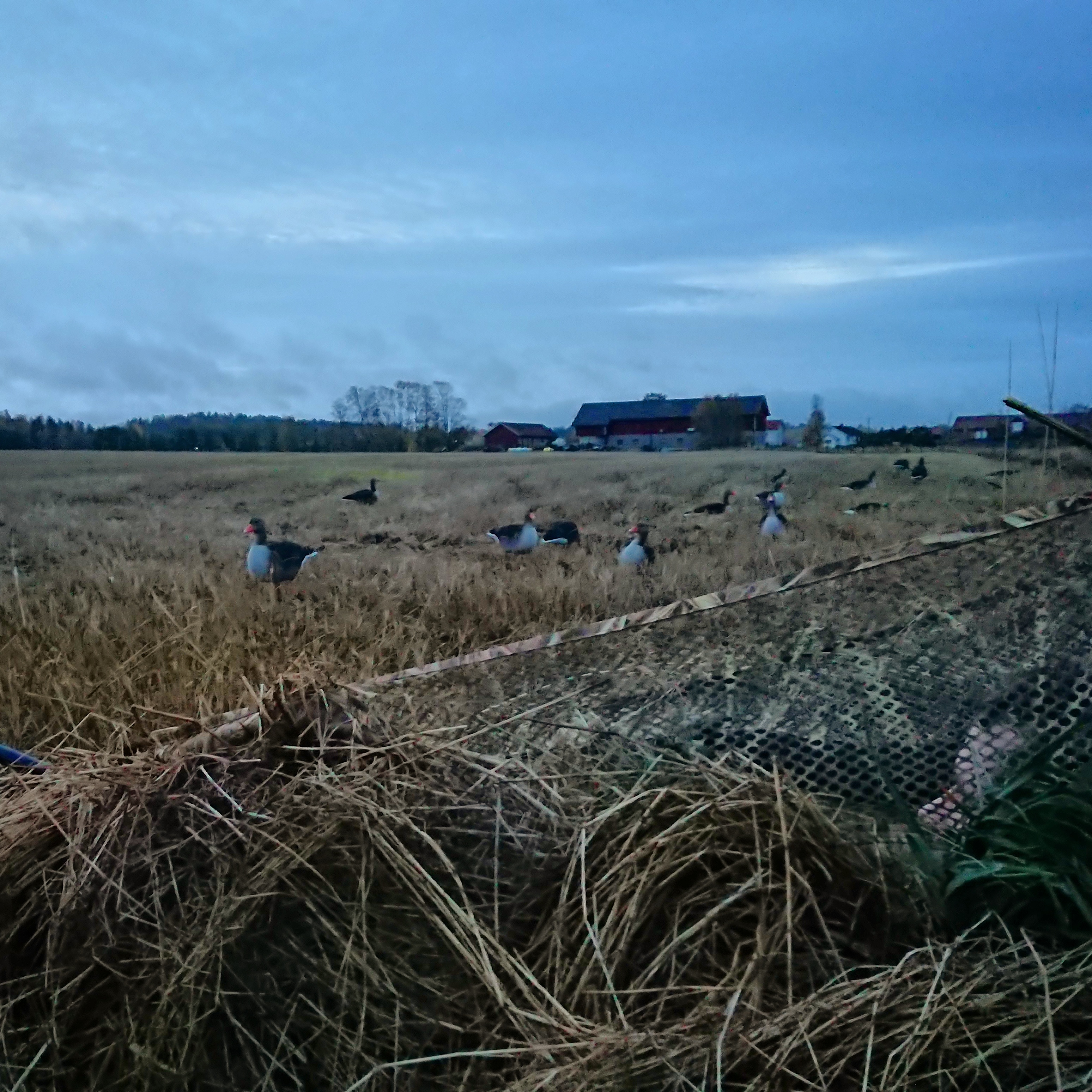 IMG_20171019_135719_464