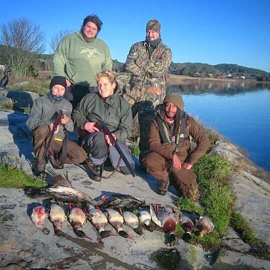 IMG_20171117_000446_130