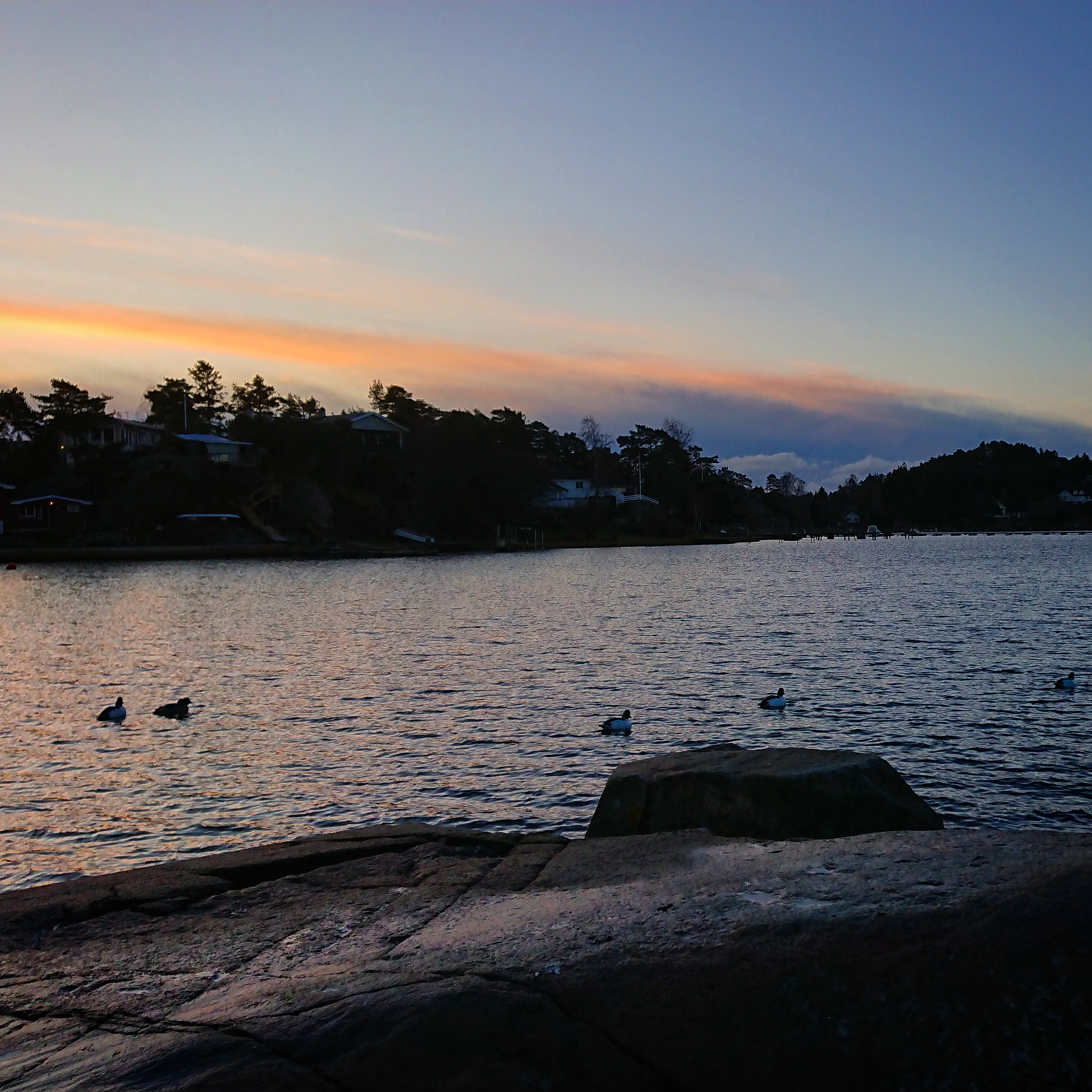 IMG_20171118_184721_177